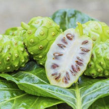 Load image into Gallery viewer, Hawaiian Noni Powder  (Raw- Organic)