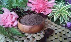 Hawaiian Noni Powder  (Raw- Organic)